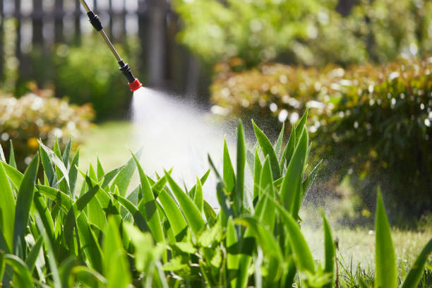 24/7 Emergency Mosquito Control experts in Yosemite Valley, CA